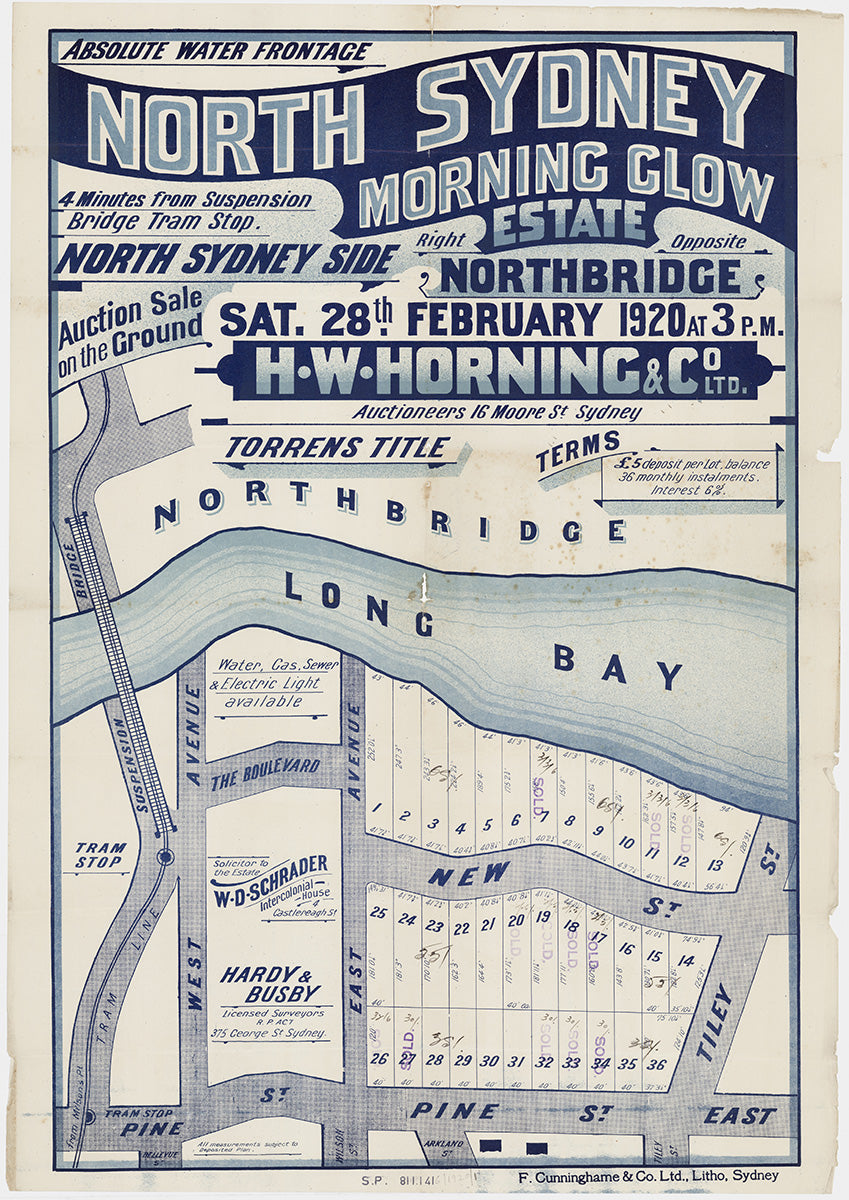 Pine St, West Ave, East Ave, New St, Tiley St, The Boulevard, Arkland St, Wilson St, Bellevue St, Cammeray, Northbridge NSW 1920