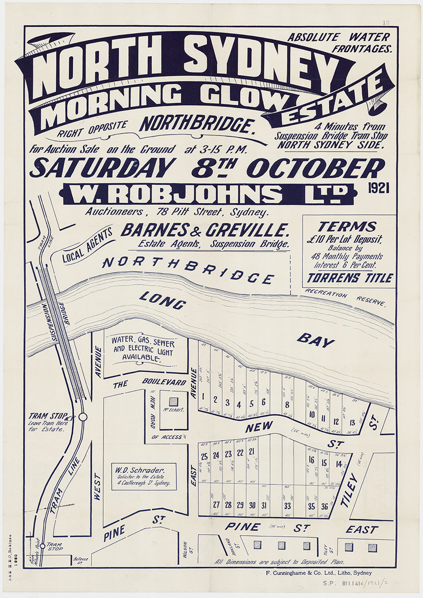 Pine St, West Ave, East Ave, New St, Tiley St, The Boulevard, Arkland St, Wilson St, Bellevue St, Cammeray NSW 1921